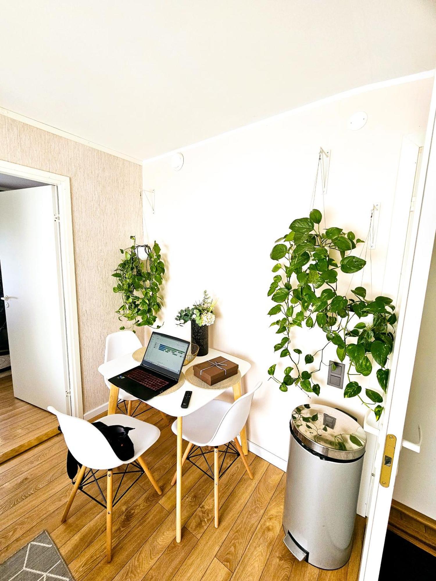 Cofy Rentals - Centrally Located, Quiet District, Air-Conditioning, Free Parking, 24-7 Express Check-In-Out, Close To Sea And Everything You Need For Living! Tallinn Bilik gambar